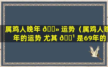 属鸡人晚年 🌻 运势（属鸡人晚年的运势 尤其 🌹 是69年的）